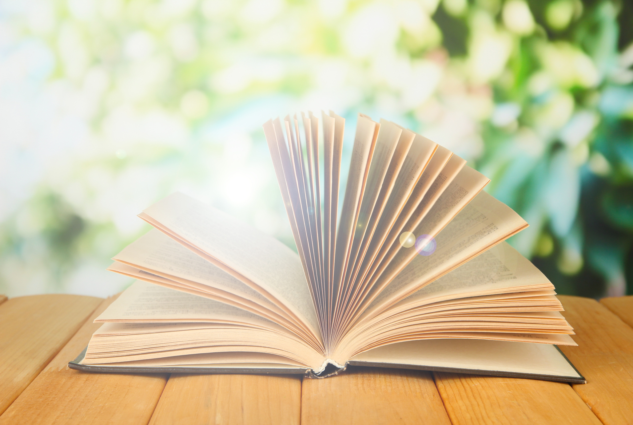 Opened Book on Bright Background